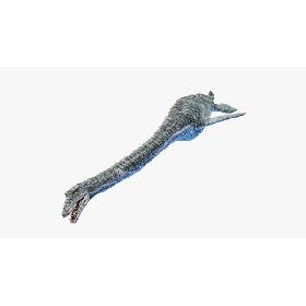 3D Elasmosaurus